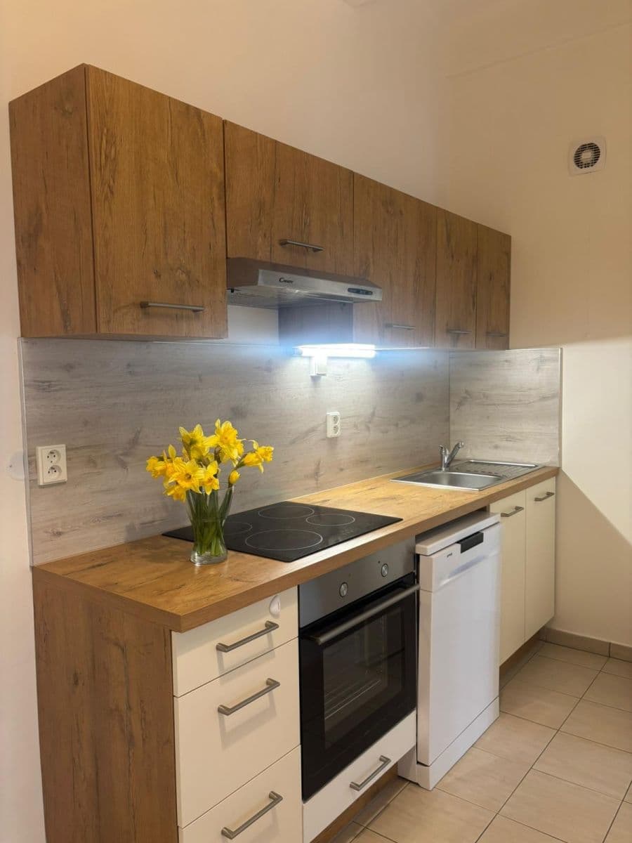 1 bedroom with open-plan kitchen flat to rent, 51 m², Dělnická, Prague, Prague 1 bedroom with open-plan kitchen flat to rent, 51 m², Dělnická, Prague, Prague