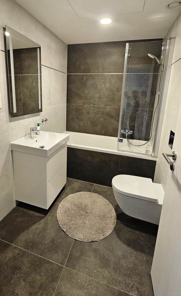 1 bedroom with open-plan kitchen flat to rent, 56 m², Poděbradská, Prague, Prague 1 bedroom with open-plan kitchen flat to rent, 56 m², Poděbradská, Prague, Prague