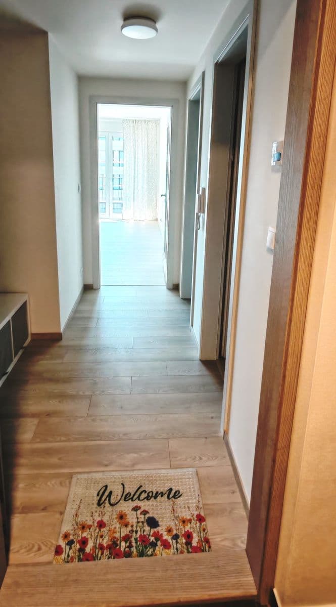 1 bedroom with open-plan kitchen flat to rent, 56 m², Poděbradská, Prague, Prague 1 bedroom with open-plan kitchen flat to rent, 56 m², Poděbradská, Prague, Prague