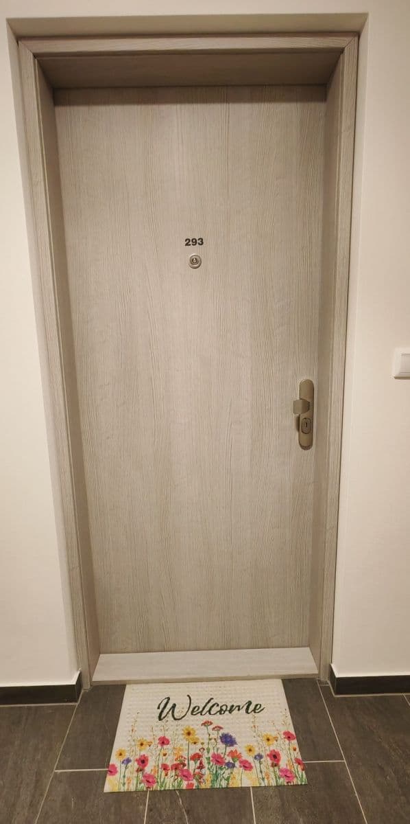 1 bedroom with open-plan kitchen flat to rent, 56 m², Poděbradská, Prague, Prague 1 bedroom with open-plan kitchen flat to rent, 56 m², Poděbradská, Prague, Prague