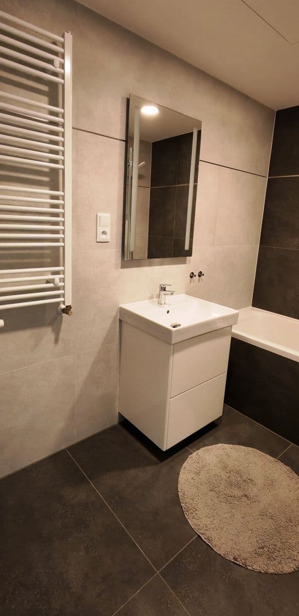 1 bedroom with open-plan kitchen flat to rent, 56 m², Poděbradská, Prague, Prague 1 bedroom with open-plan kitchen flat to rent, 56 m², Poděbradská, Prague, Prague