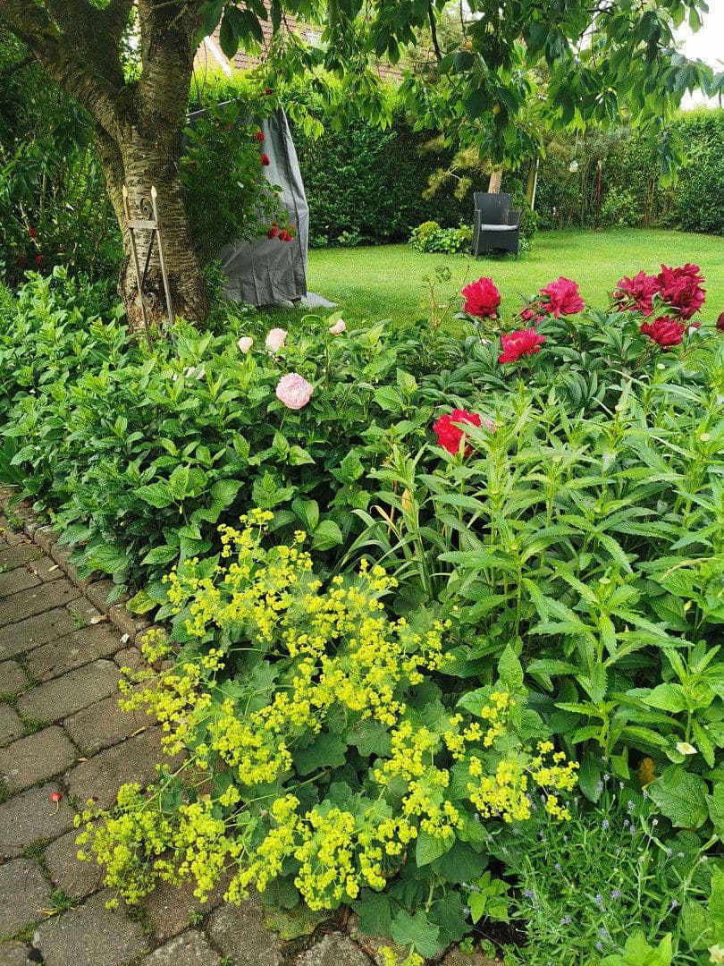 house for sale, 125 m², Lübeck, Schleswig-Holstein house for sale, 125 m², Lübeck, Schleswig-Holstein