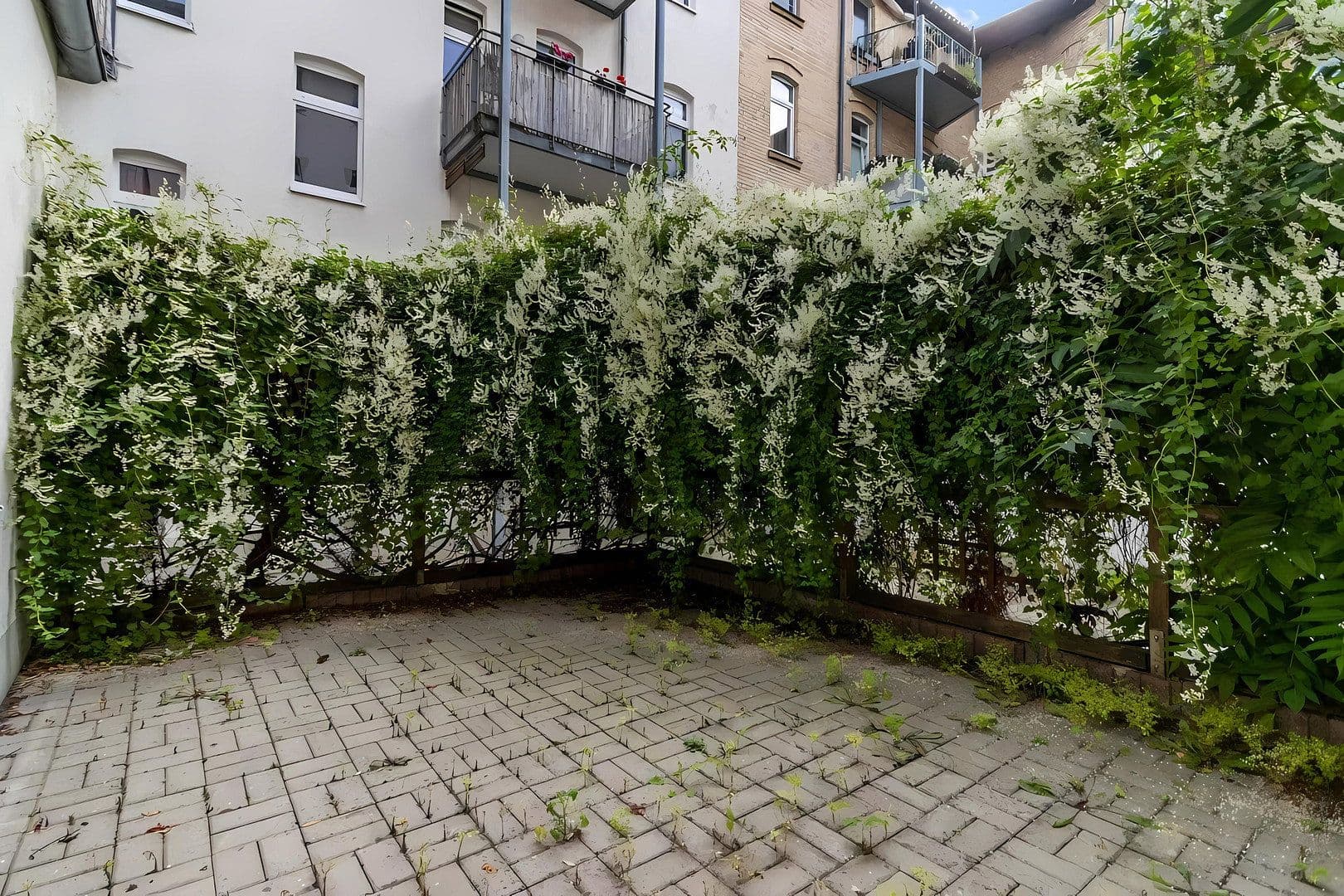 3 bedroom flat to rent, 90 m², Melanchthonstr. 42, Halle, Saxony-Anhalt 3 bedroom flat to rent, 90 m², Melanchthonstr. 42, Halle, Saxony-Anhalt