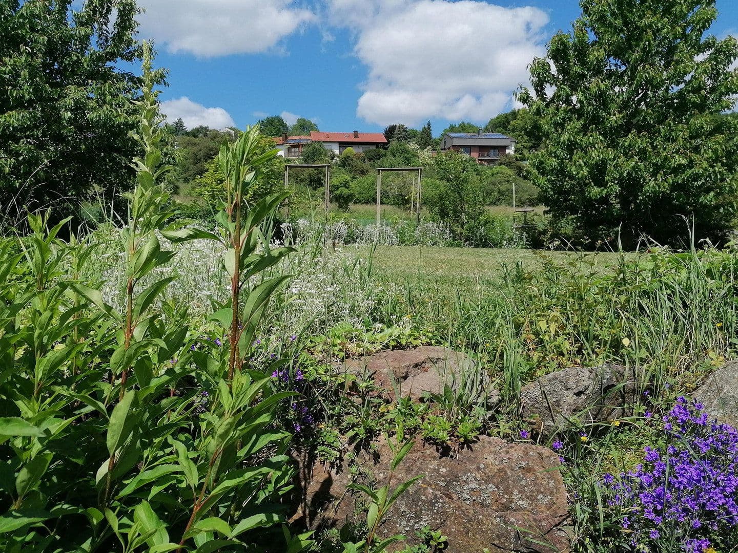 house for sale, 224 m², Weiler bei Bingen, Rhineland-Palatinate house for sale, 224 m², Weiler bei Bingen, Rhineland-Palatinate