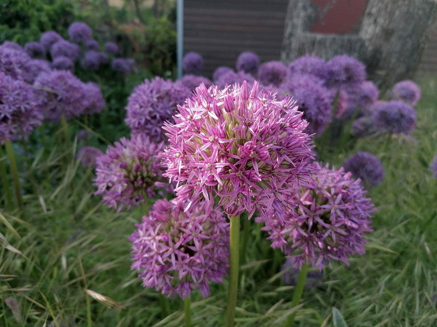 house for sale, 224 m², Weiler bei Bingen, Rhineland-Palatinate house for sale, 224 m², Weiler bei Bingen, Rhineland-Palatinate