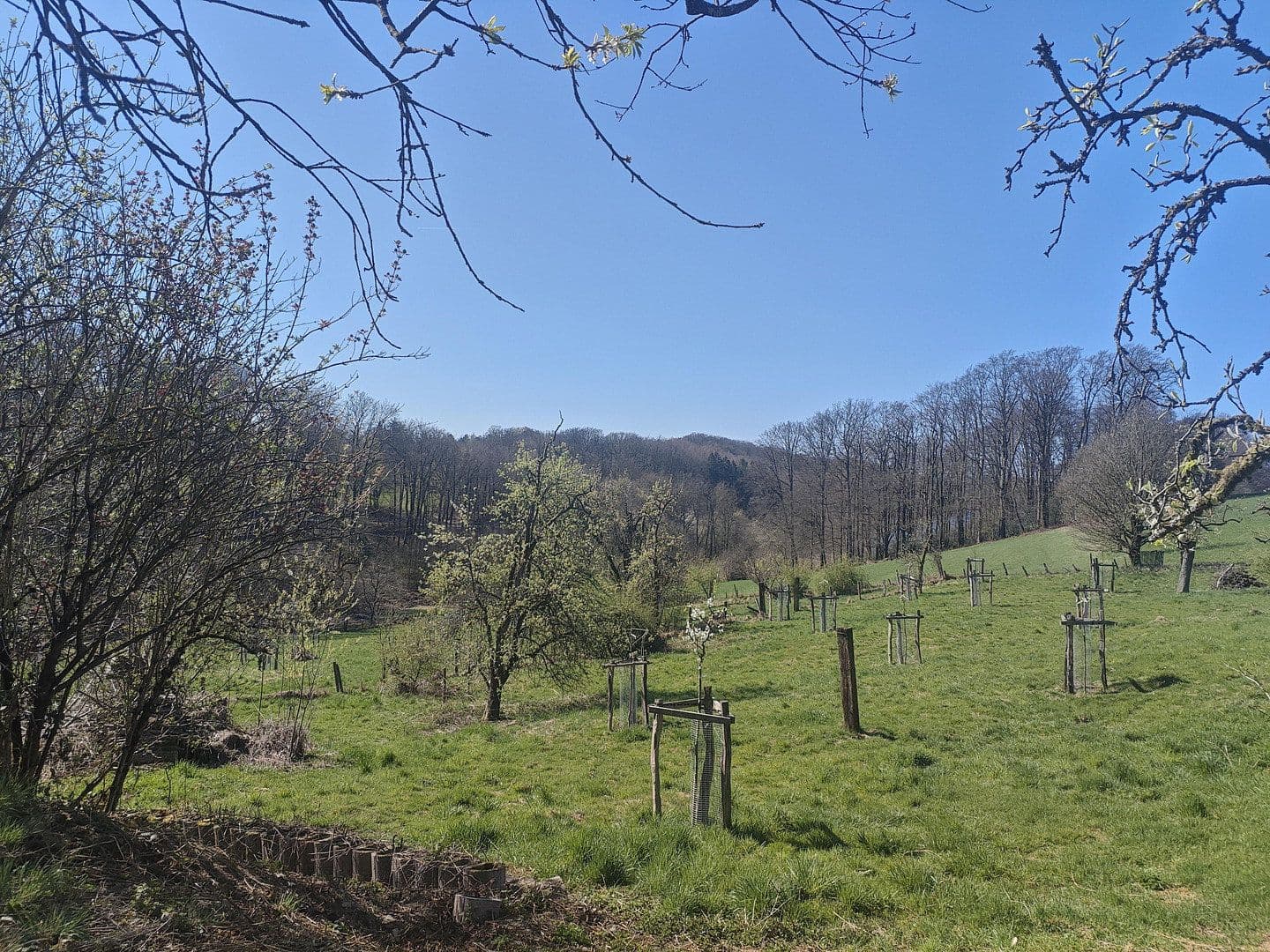 2 bedroom flat to rent, 54 m², Hückeswagen, North Rhine-Westphalia 2 bedroom flat to rent, 54 m², Hückeswagen, North Rhine-Westphalia