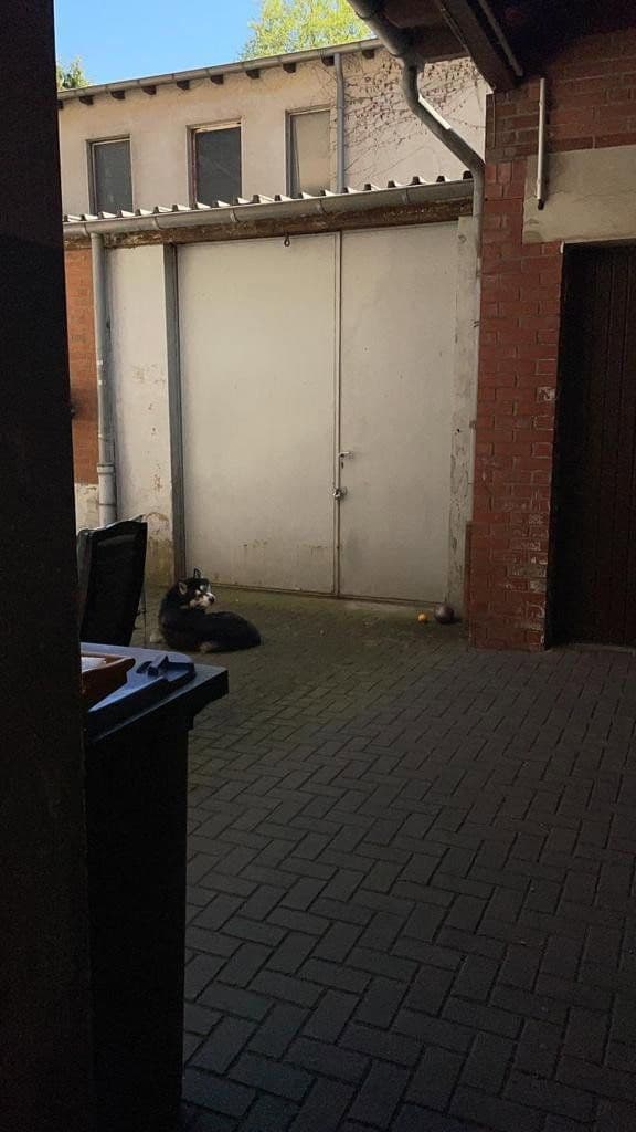 non-residential property to rent, 340 m², Veilchenstraße 24, Duisburg, North Rhine-Westphalia non-residential property to rent, 340 m², Veilchenstraße 24, Duisburg, North Rhine-Westphalia