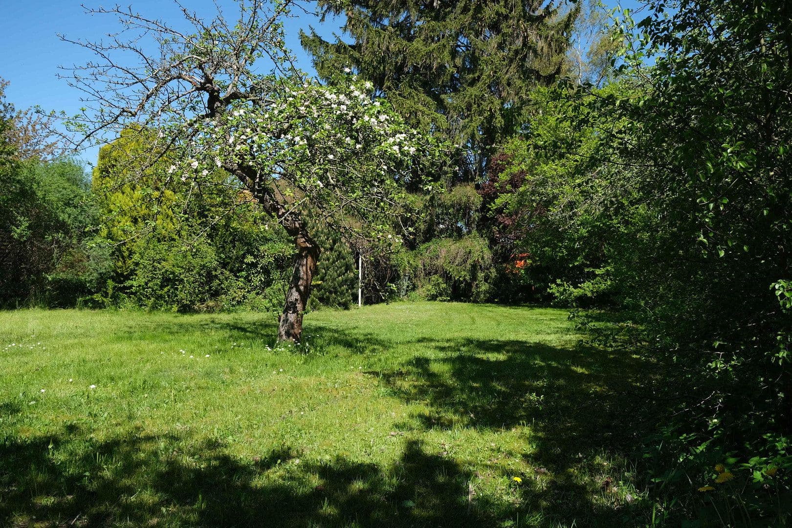 plot for sale, 698 m², Panketal, Brandenburg plot for sale, 698 m², Panketal, Brandenburg