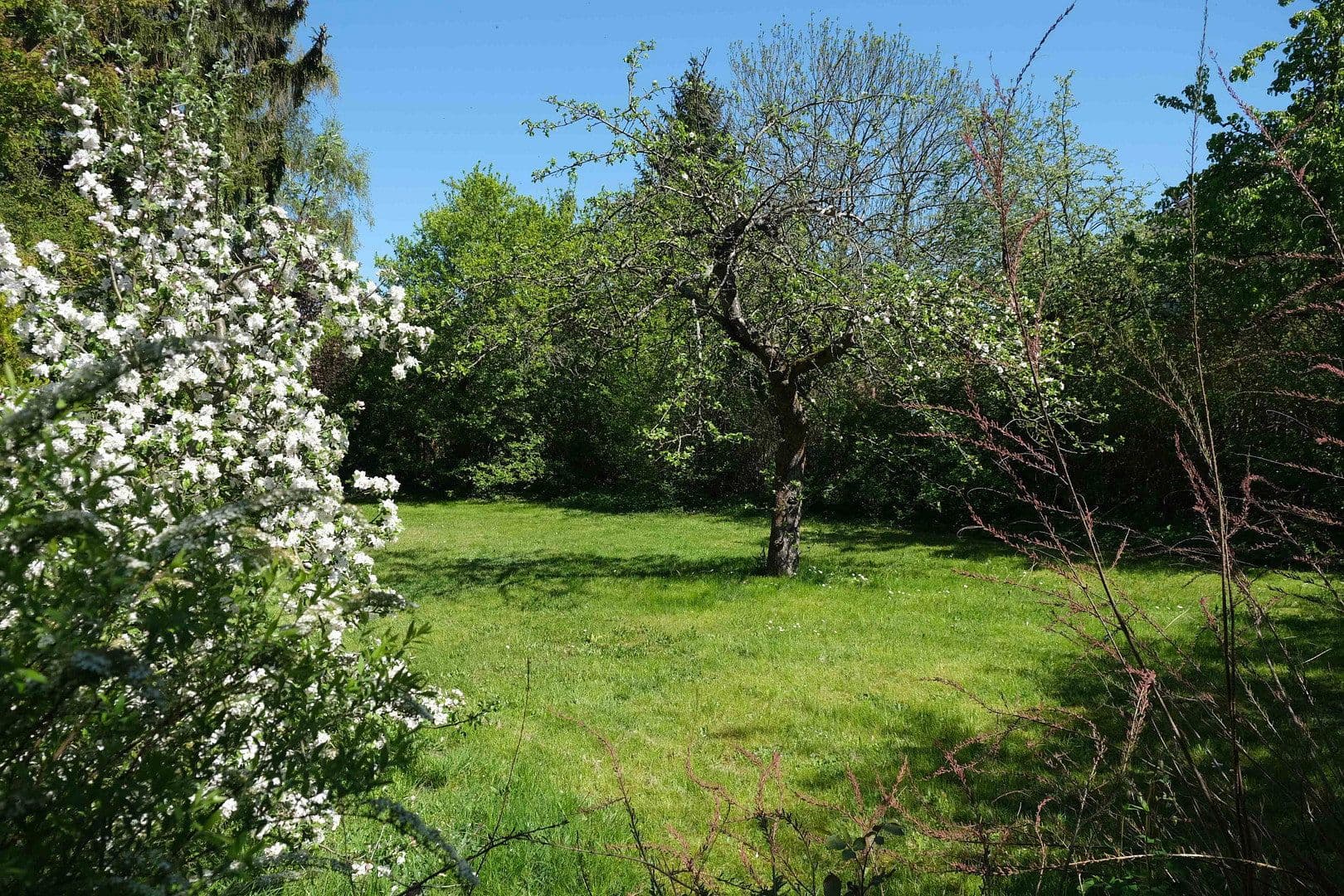 plot for sale, 698 m², Panketal, Brandenburg plot for sale, 698 m², Panketal, Brandenburg
