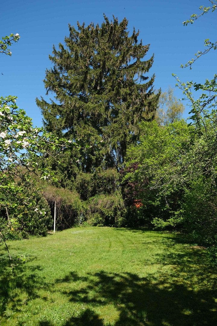 plot for sale, 698 m², Panketal, Brandenburg plot for sale, 698 m², Panketal, Brandenburg