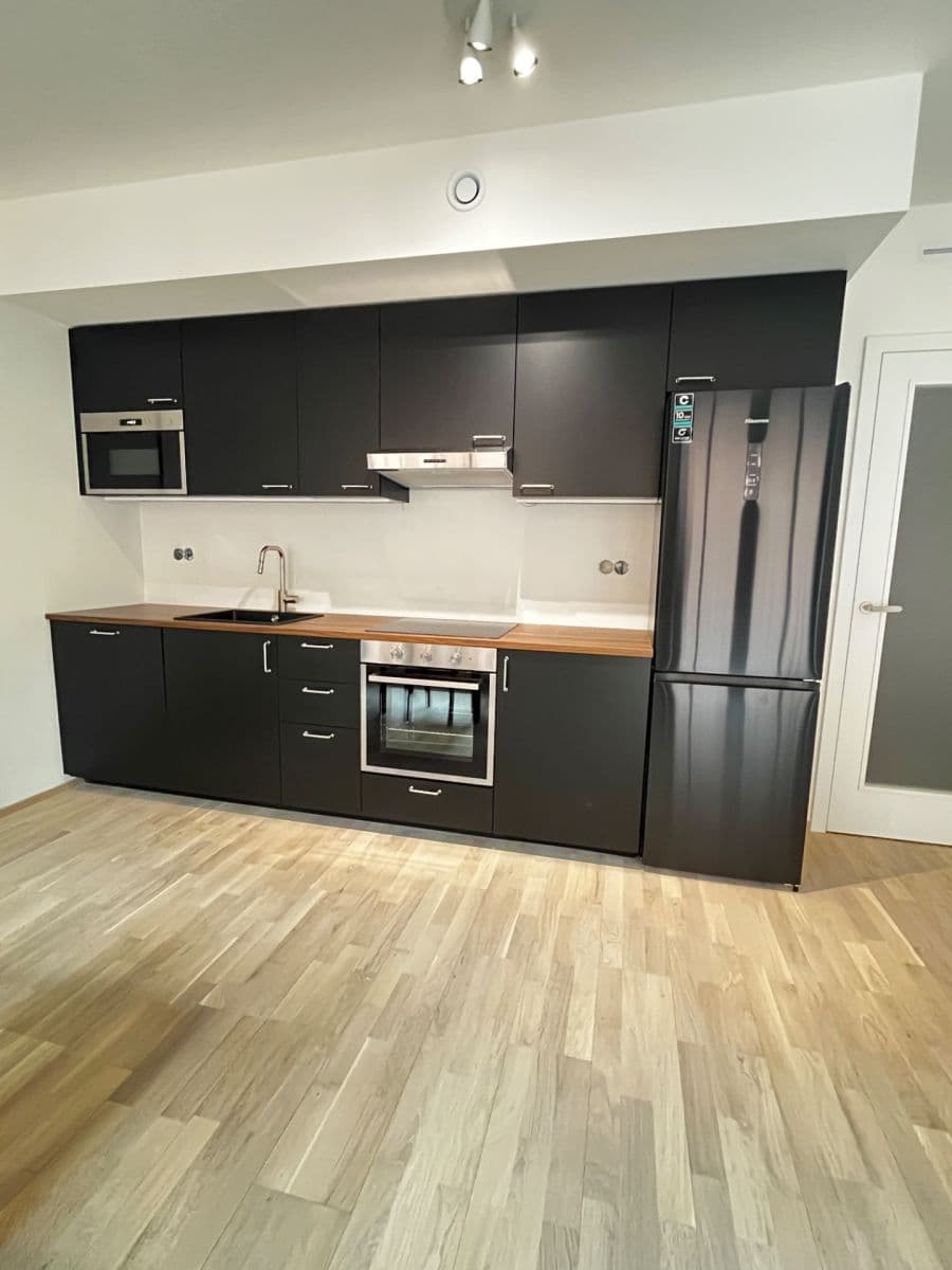 1 bedroom with open-plan kitchen flat to rent, 52 m², U Lihovaru, Prague, Prague 1 bedroom with open-plan kitchen flat to rent, 52 m², U Lihovaru, Prague, Prague