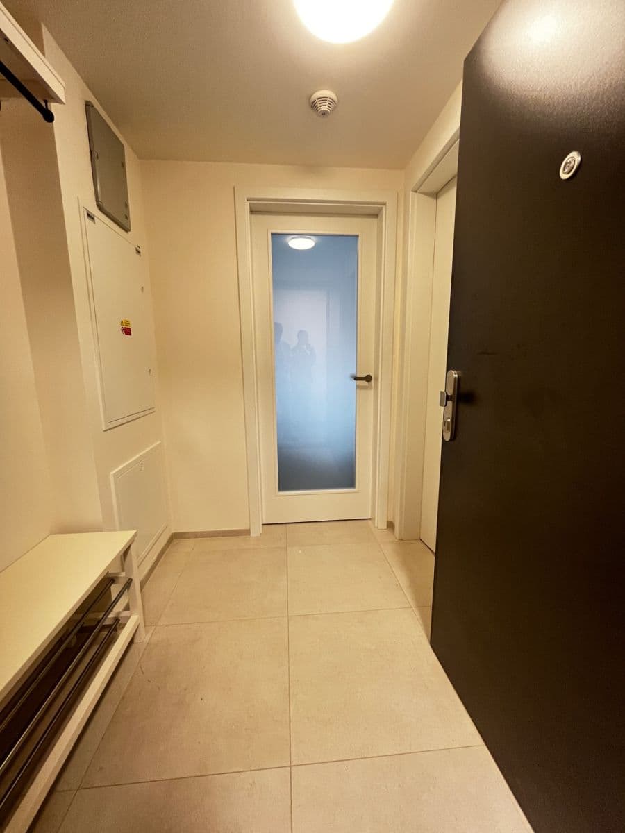 1 bedroom with open-plan kitchen flat to rent, 52 m², U Lihovaru, Prague, Prague 1 bedroom with open-plan kitchen flat to rent, 52 m², U Lihovaru, Prague, Prague