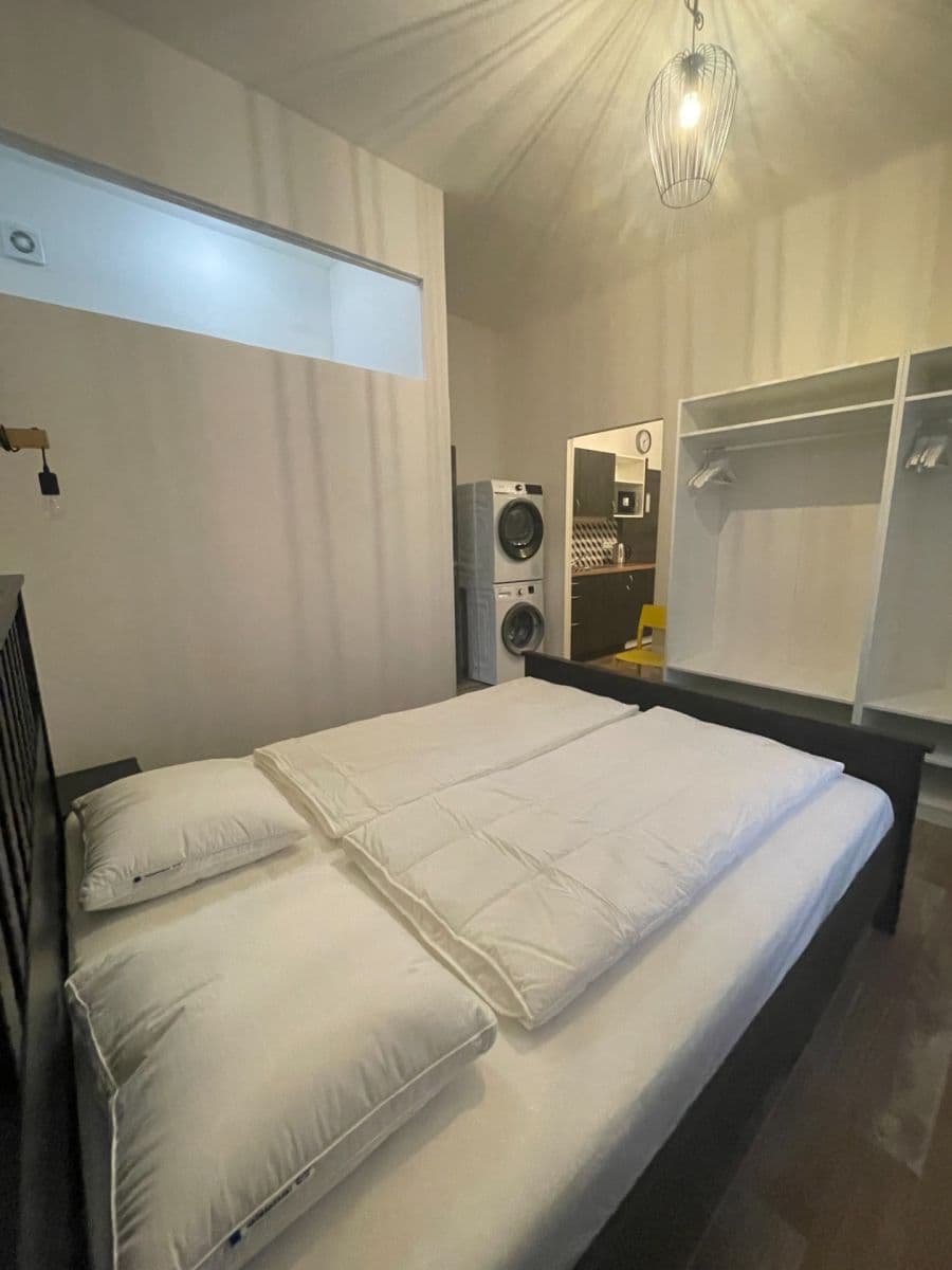 1 bedroom with open-plan kitchen flat to rent, 42 m², Navrátilova, Prague, Prague 1 bedroom with open-plan kitchen flat to rent, 42 m², Navrátilova, Prague, Prague