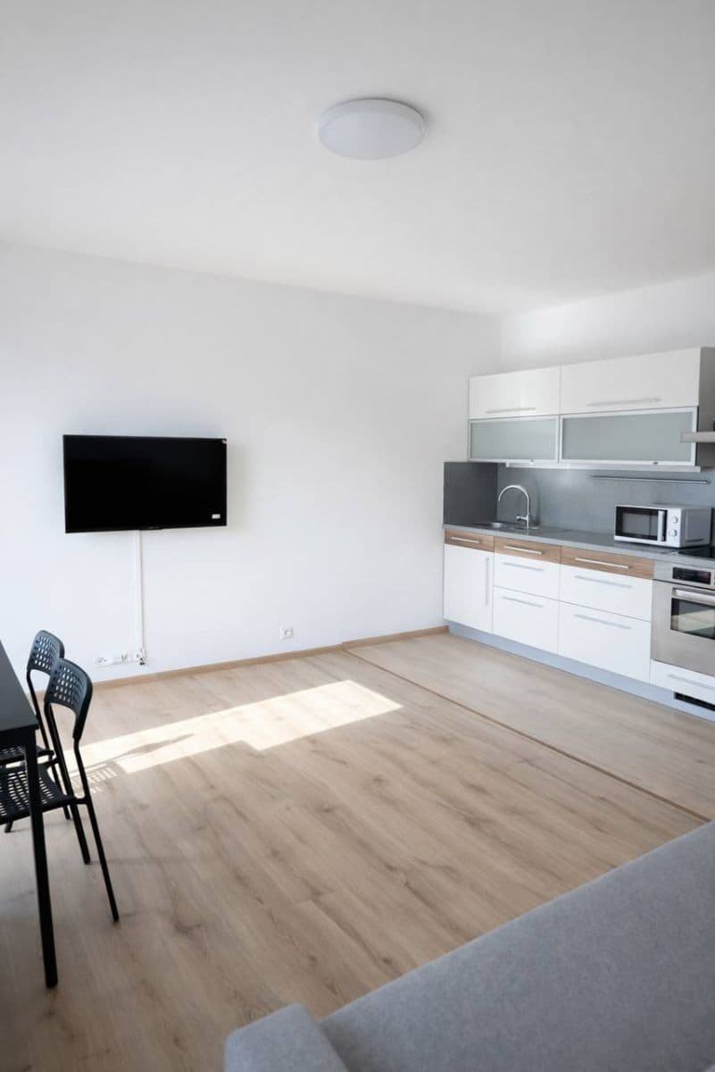 1 bedroom with open-plan kitchen flat to rent, 45 m², Zubrnická, Prague, Prague 1 bedroom with open-plan kitchen flat to rent, 45 m², Zubrnická, Prague, Prague
