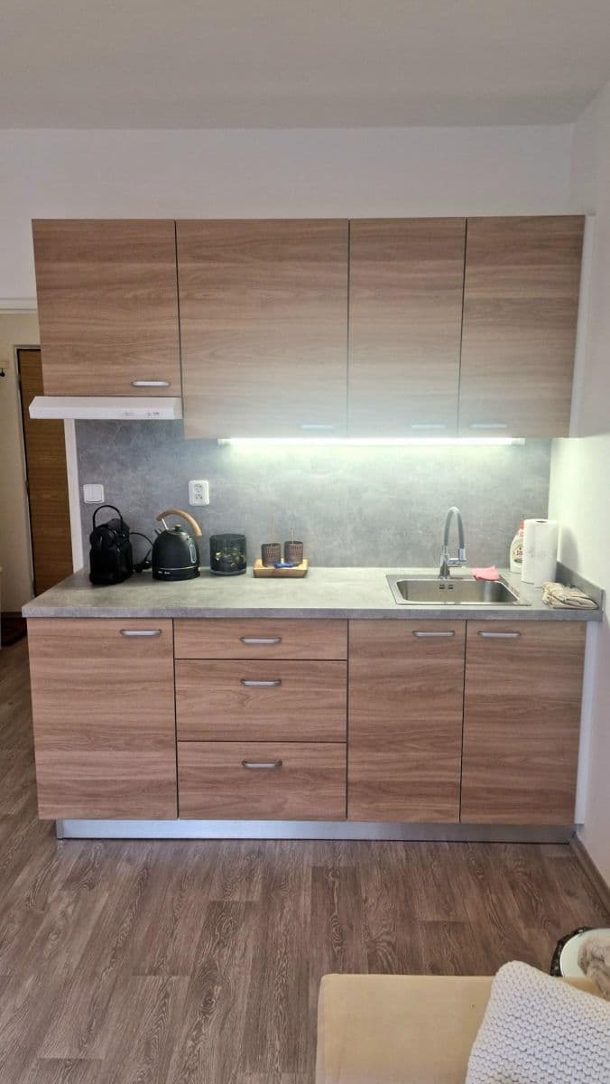 Studio flat to rent, 25 m², Leoše Janáčka, Luhačovice, Zlínský Region Studio flat to rent, 25 m², Leoše Janáčka, Luhačovice, Zlínský Region