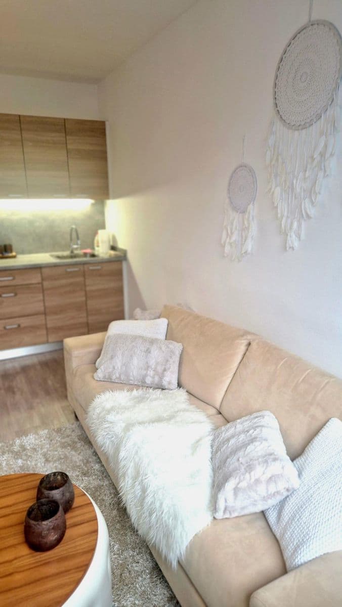 Studio flat to rent, 25 m², Leoše Janáčka, Luhačovice, Zlínský Region Studio flat to rent, 25 m², Leoše Janáčka, Luhačovice, Zlínský Region