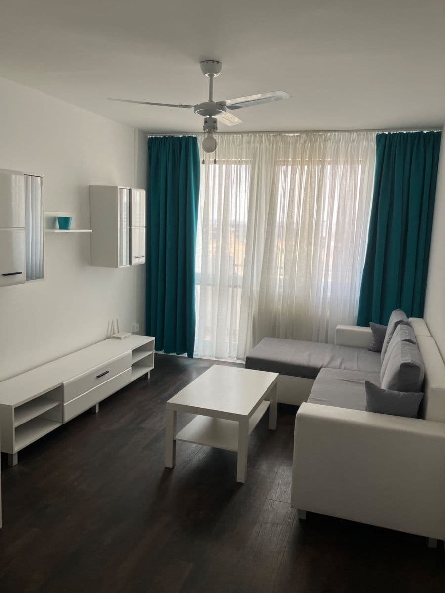 1 bedroom with open-plan kitchen flat to rent, 45 m², Píškova, Prague, Prague 1 bedroom with open-plan kitchen flat to rent, 45 m², Píškova, Prague, Prague