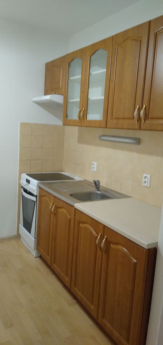 1 bedroom with open-plan kitchen flat to rent, 46 m², Střelničná, Prague, Prague 1 bedroom with open-plan kitchen flat to rent, 46 m², Střelničná, Prague, Prague