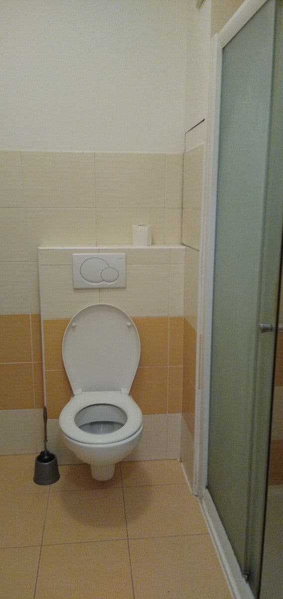 1 bedroom with open-plan kitchen flat to rent, 46 m², Střelničná, Prague, Prague 1 bedroom with open-plan kitchen flat to rent, 46 m², Střelničná, Prague, Prague