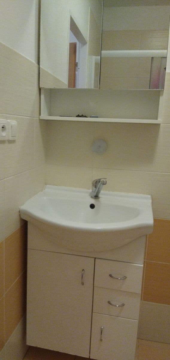 1 bedroom with open-plan kitchen flat to rent, 46 m², Střelničná, Prague, Prague 1 bedroom with open-plan kitchen flat to rent, 46 m², Střelničná, Prague, Prague