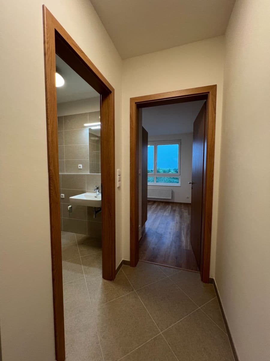 Studio flat to rent, 29 m², Thomasova, Prague, Prague Studio flat to rent, 29 m², Thomasova, Prague, Prague