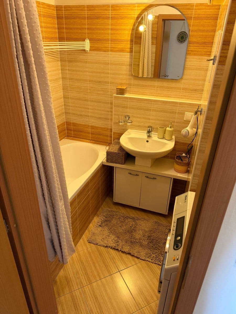 1 bedroom with open-plan kitchen flat to rent, 50 m², Strančická, Prague, Prague 1 bedroom with open-plan kitchen flat to rent, 50 m², Strančická, Prague, Prague