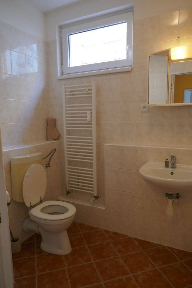 1 bedroom with open-plan kitchen flat to rent, 45 m², Hnězdenská, Prague, Prague 1 bedroom with open-plan kitchen flat to rent, 45 m², Hnězdenská, Prague, Prague