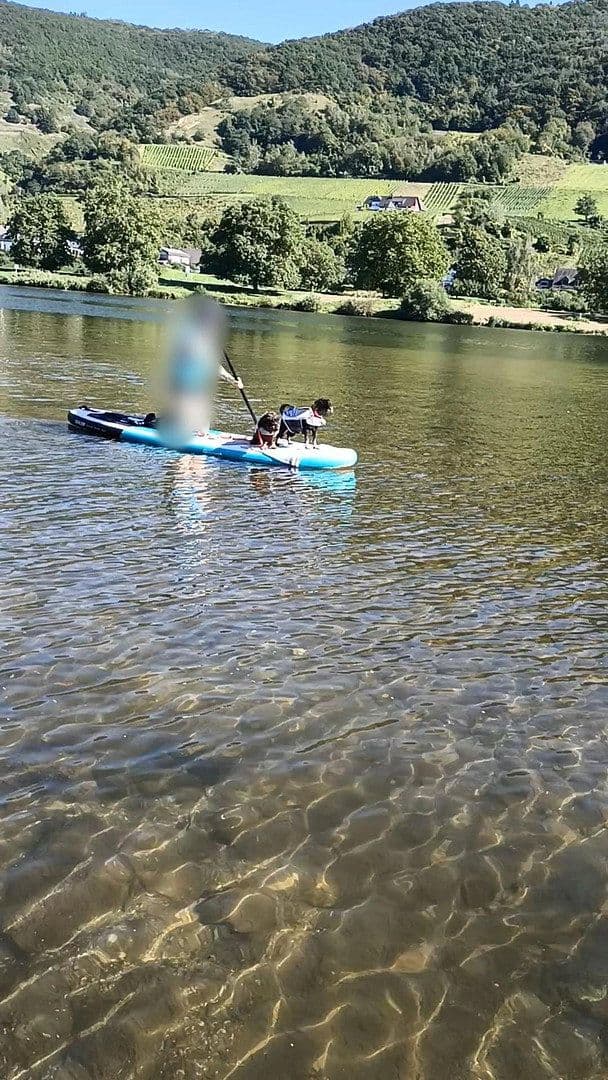 house for sale, 399 m², Senheim, Rhineland-Palatinate house for sale, 399 m², Senheim, Rhineland-Palatinate