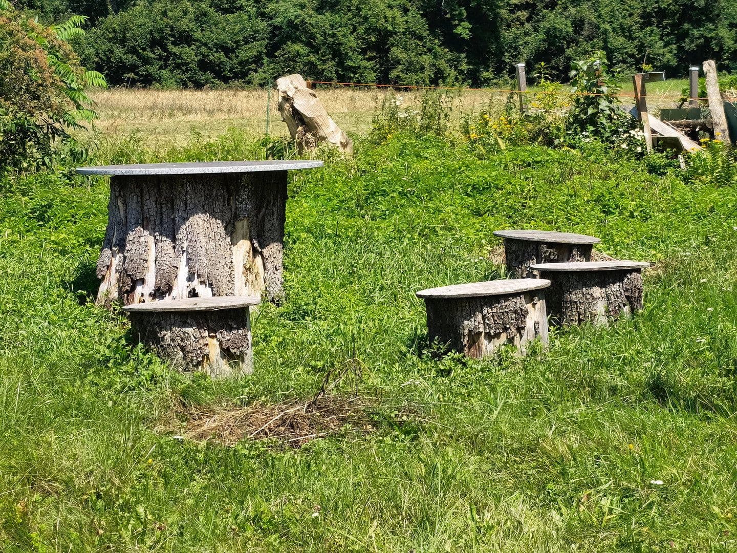 house for sale, 248 m², Rosegg, Carinthia house for sale, 248 m², Rosegg, Carinthia