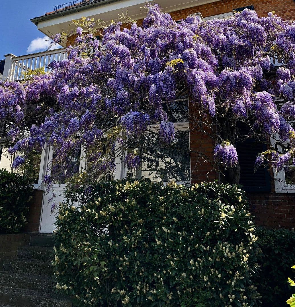 house for sale, 365 m², Frankfurt, Hesse house for sale, 365 m², Frankfurt, Hesse