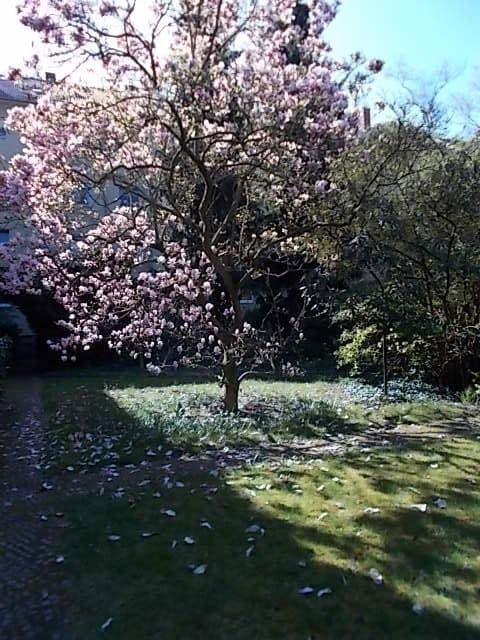 2 bedroom flat for sale, 62 m², Berlin, Berlin 2 bedroom flat for sale, 62 m², Berlin, Berlin