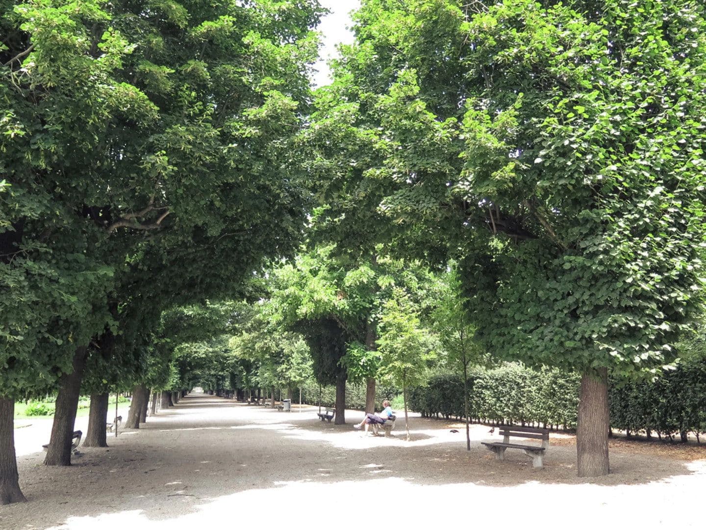 1 bedroom with open-plan kitchen flat to rent, 46 m², Brigittagasse 15, Wien, Vienna 1 bedroom with open-plan kitchen flat to rent, 46 m², Brigittagasse 15, Wien, Vienna