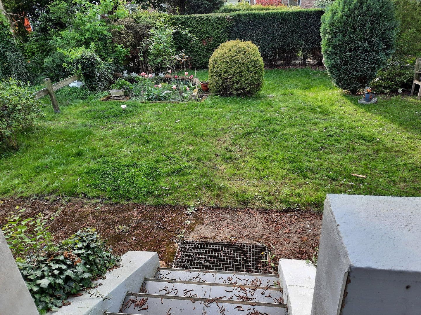 2 bedroom flat to rent, 57 m², Meerbusch, North Rhine-Westphalia 2 bedroom flat to rent, 57 m², Meerbusch, North Rhine-Westphalia