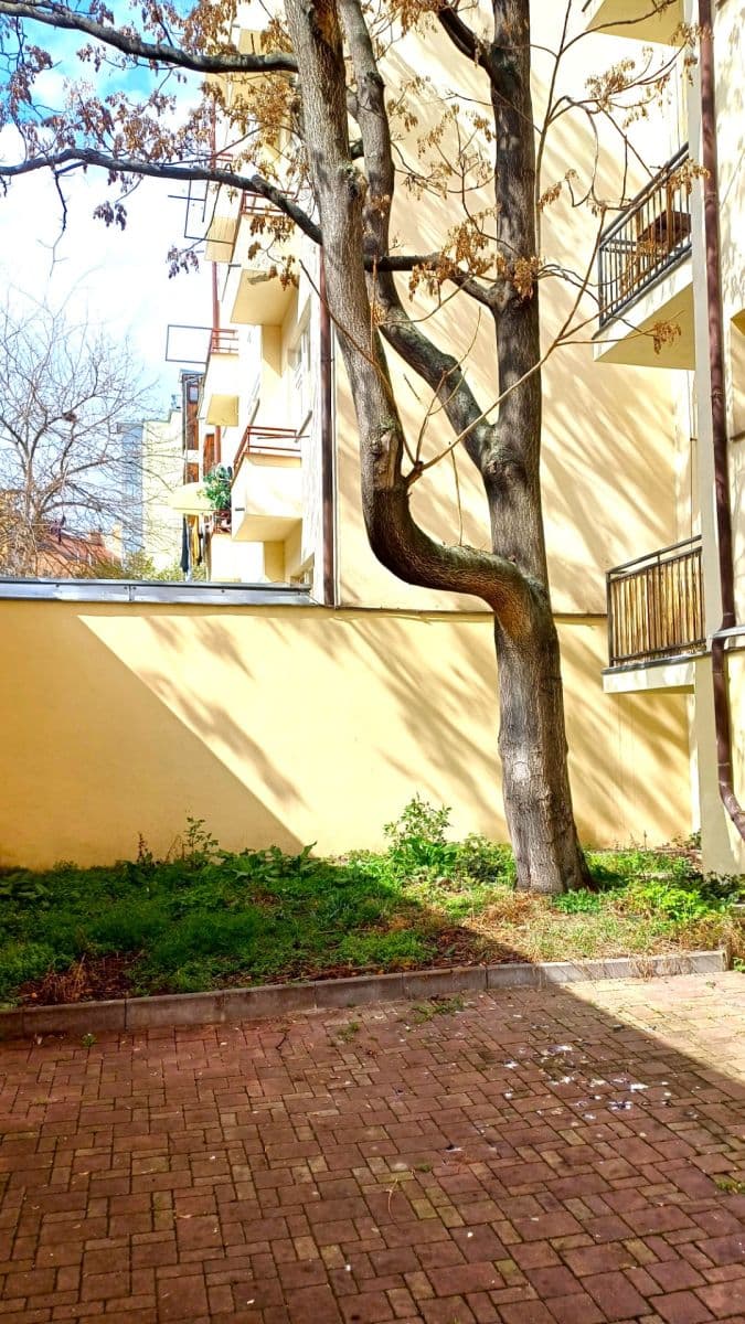 1 bedroom flat for sale, 40 m², Francouzská, Prague, Prague 1 bedroom flat for sale, 40 m², Francouzská, Prague, Prague