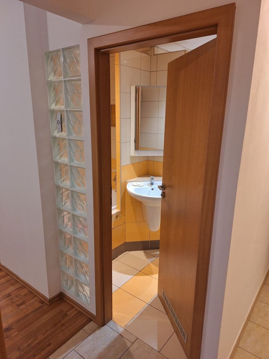 1 bedroom with open-plan kitchen flat to rent, 42 m², Přímětická, Prague, Prague 1 bedroom with open-plan kitchen flat to rent, 42 m², Přímětická, Prague, Prague