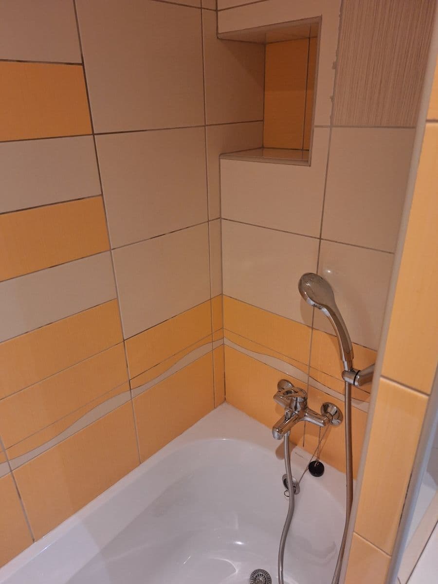 1 bedroom with open-plan kitchen flat to rent, 42 m², Přímětická, Prague, Prague 1 bedroom with open-plan kitchen flat to rent, 42 m², Přímětická, Prague, Prague