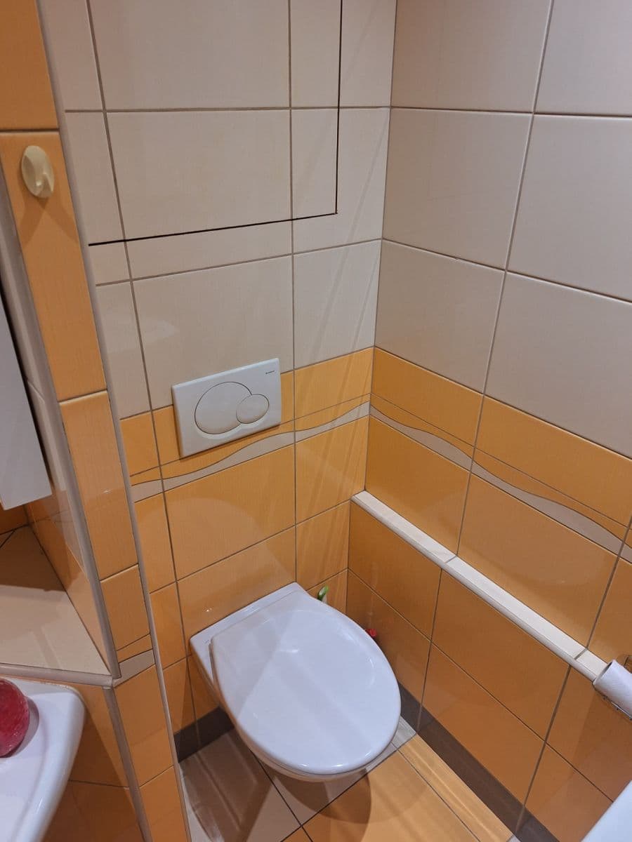 1 bedroom with open-plan kitchen flat to rent, 42 m², Přímětická, Prague, Prague 1 bedroom with open-plan kitchen flat to rent, 42 m², Přímětická, Prague, Prague