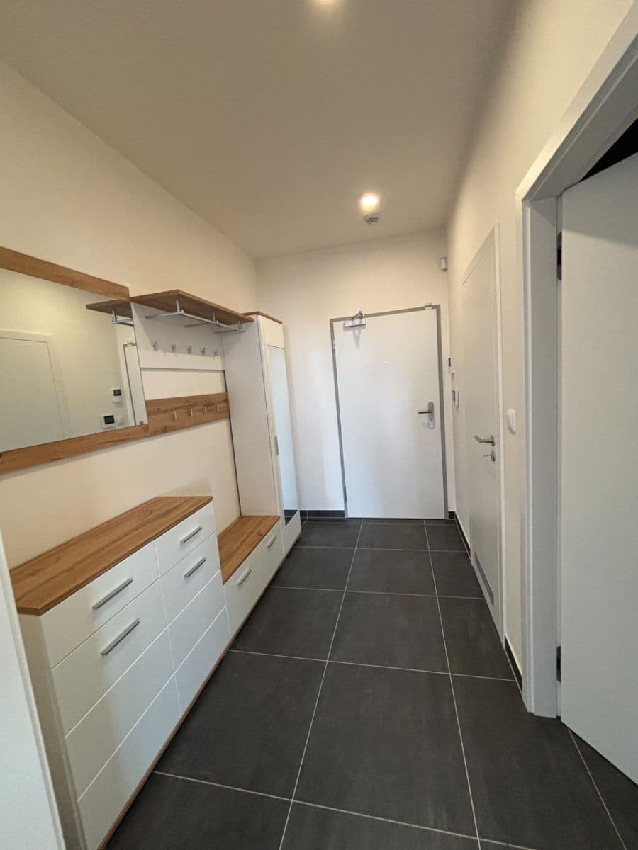 1 bedroom with open-plan kitchen flat to rent, 63 m², Pod Harfou, Prague, Prague 1 bedroom with open-plan kitchen flat to rent, 63 m², Pod Harfou, Prague, Prague