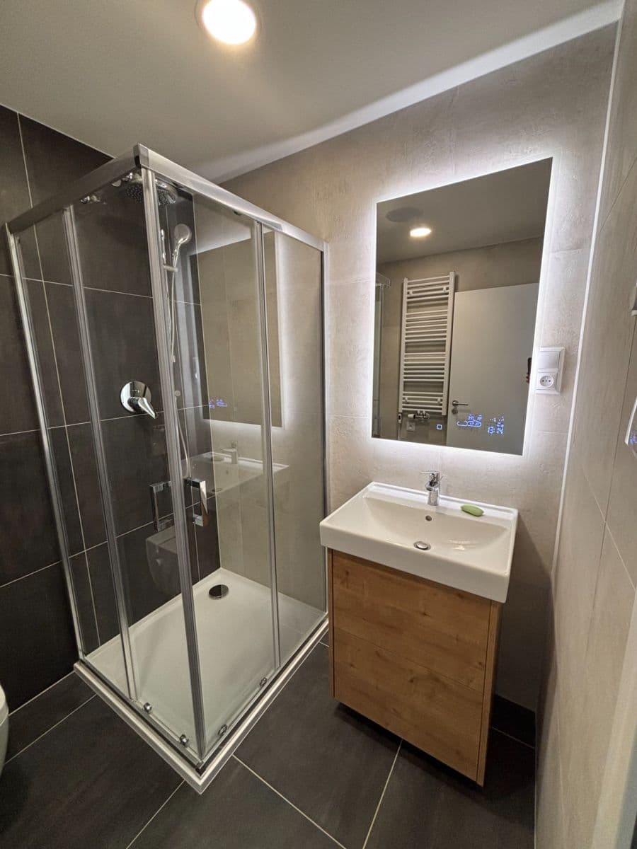 1 bedroom with open-plan kitchen flat to rent, 63 m², Pod Harfou, Prague, Prague 1 bedroom with open-plan kitchen flat to rent, 63 m², Pod Harfou, Prague, Prague