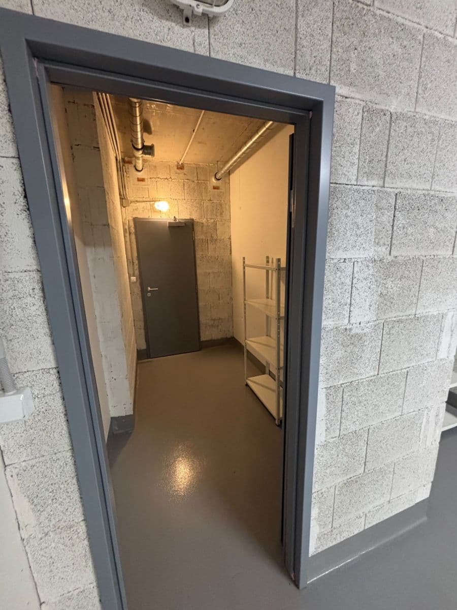 1 bedroom with open-plan kitchen flat to rent, 63 m², Pod Harfou, Prague, Prague 1 bedroom with open-plan kitchen flat to rent, 63 m², Pod Harfou, Prague, Prague