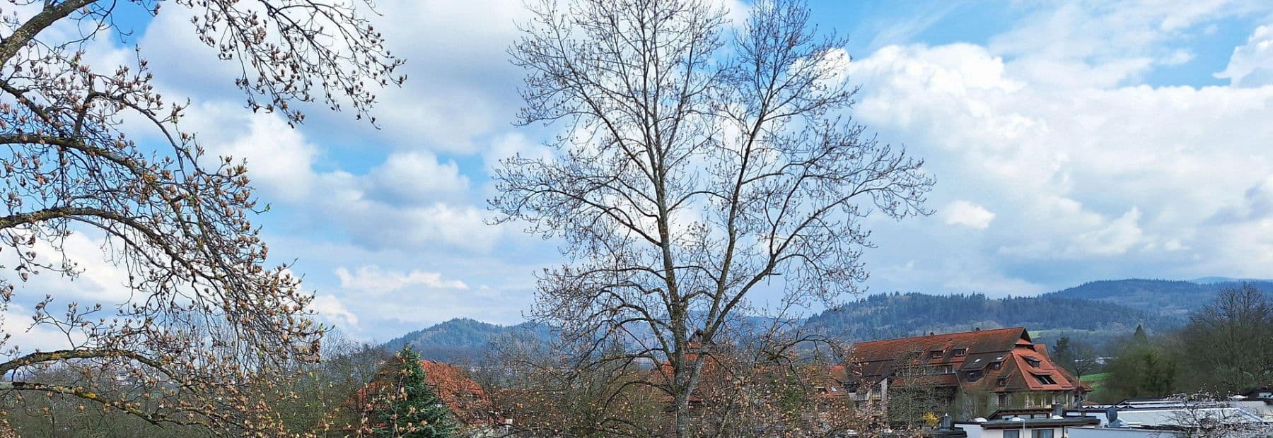 3 bedroom flat for sale, 92 m², Freiburg im Breisgau, Baden-Württemberg 3 bedroom flat for sale, 92 m², Freiburg im Breisgau, Baden-Württemberg