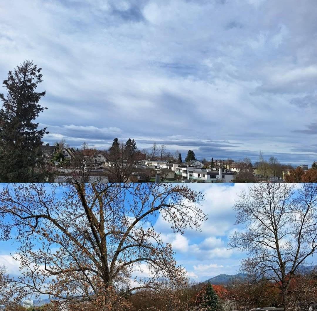 3 bedroom flat for sale, 92 m², Freiburg im Breisgau, Baden-Württemberg 3 bedroom flat for sale, 92 m², Freiburg im Breisgau, Baden-Württemberg