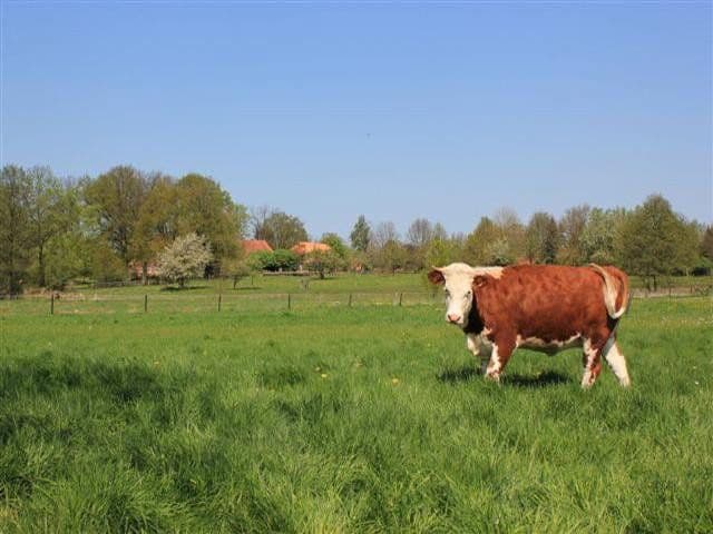 2 bedroom flat to rent, 68 m², Niendorfer Weg 12, Altenmedingen, Lower Saxony 2 bedroom flat to rent, 68 m², Niendorfer Weg 12, Altenmedingen, Lower Saxony