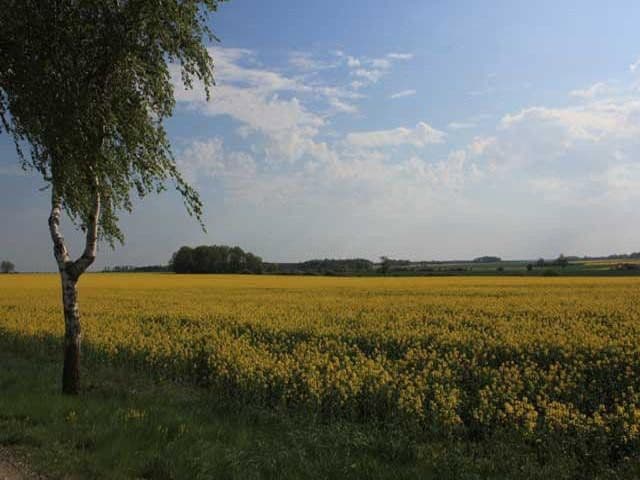 2 bedroom flat to rent, 68 m², Niendorfer Weg 12, Altenmedingen, Lower Saxony 2 bedroom flat to rent, 68 m², Niendorfer Weg 12, Altenmedingen, Lower Saxony