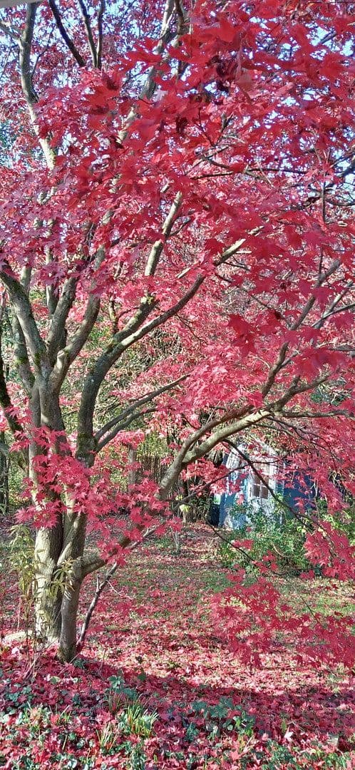 house for sale, 133 m², Silker Weiche 7, Reinbek, Schleswig-Holstein house for sale, 133 m², Silker Weiche 7, Reinbek, Schleswig-Holstein