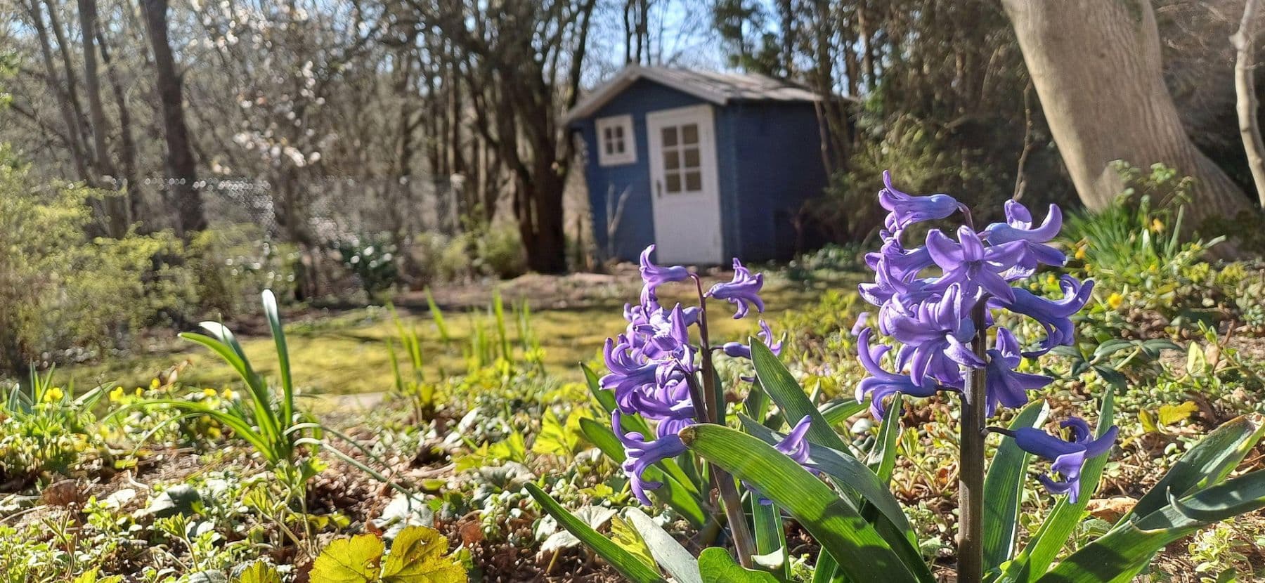 house for sale, 133 m², Silker Weiche 7, Reinbek, Schleswig-Holstein house for sale, 133 m², Silker Weiche 7, Reinbek, Schleswig-Holstein