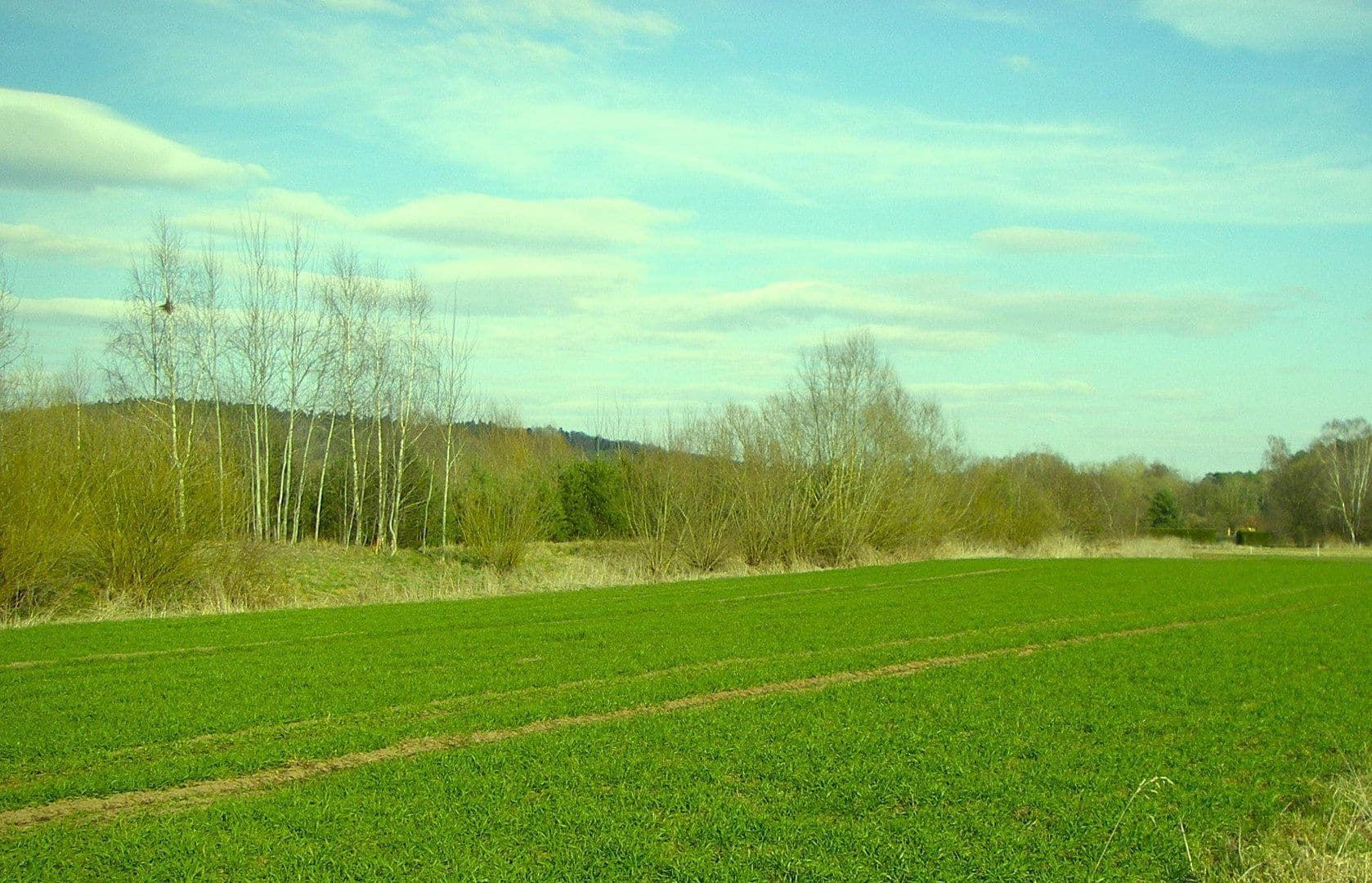 plot for sale, 811 m², Brombach 31, Haundorf, Bavaria plot for sale, 811 m², Brombach 31, Haundorf, Bavaria