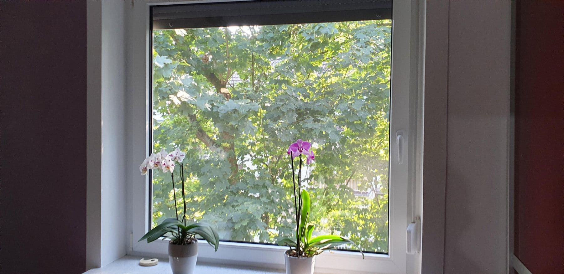 3 bedroom flat for sale, 71 m², Bremen, Bremen 3 bedroom flat for sale, 71 m², Bremen, Bremen