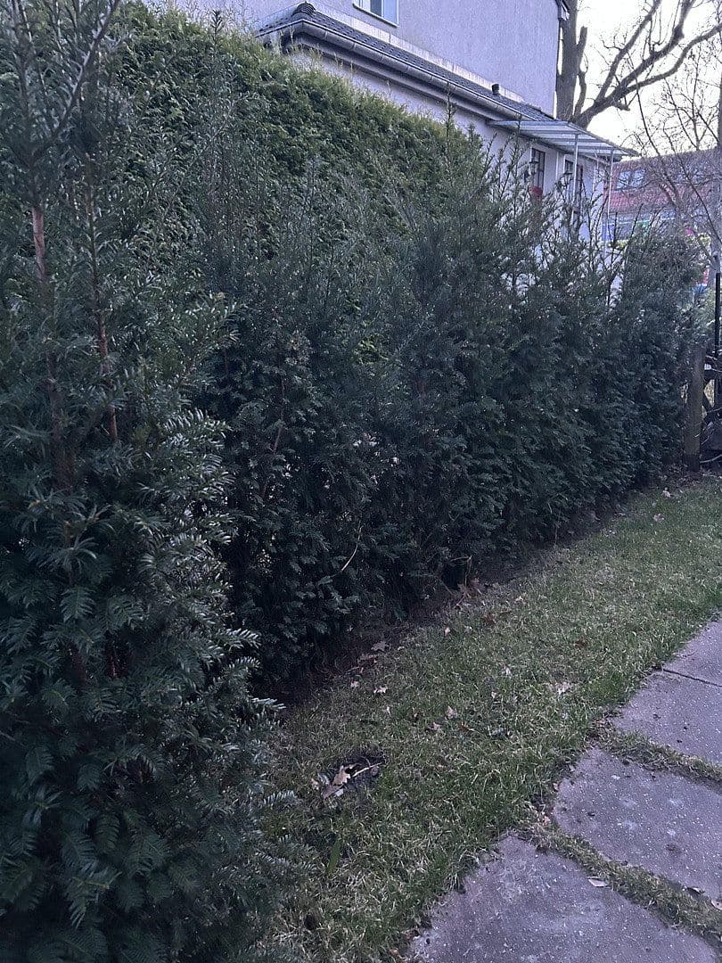 house for sale, 128 m², Berlin, Berlin house for sale, 128 m², Berlin, Berlin