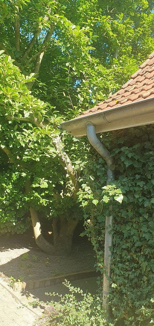 house for sale, 212 m², Quelkhorner Landstraße 3, Ottersberg, Lower Saxony house for sale, 212 m², Quelkhorner Landstraße 3, Ottersberg, Lower Saxony